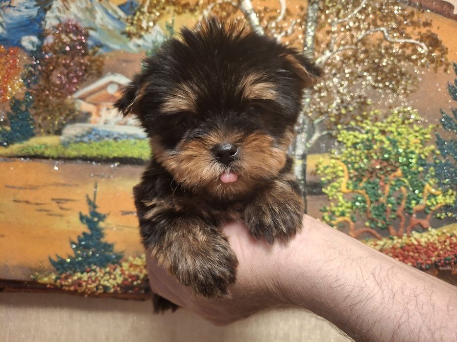 Необыкновенный малыш!