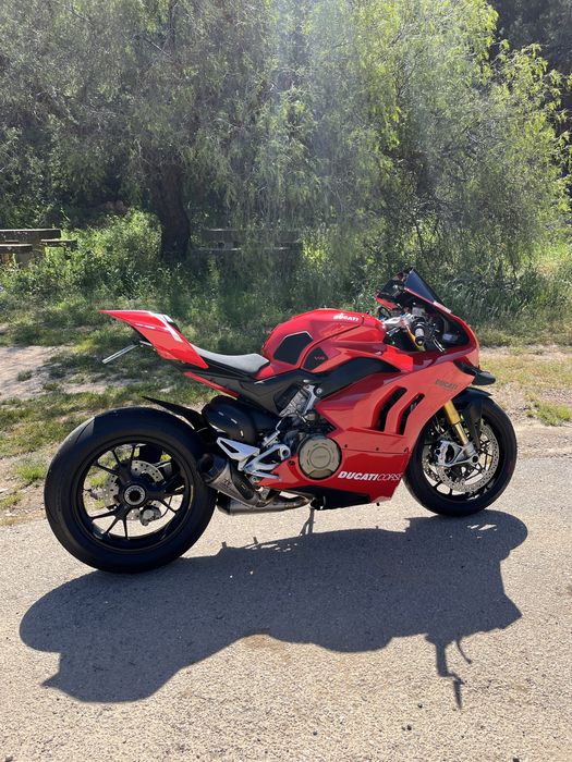 ducati panigale v4s