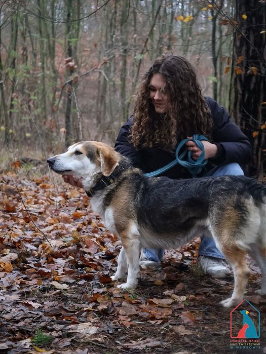 Astro 278/22 - SZUKA DOMU!