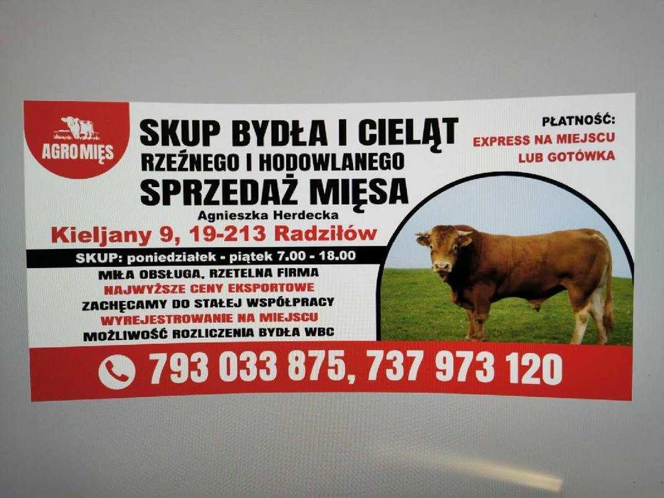 Skup bydła i cieląt