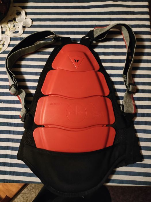 Ochraniacz na plecy Dainese
