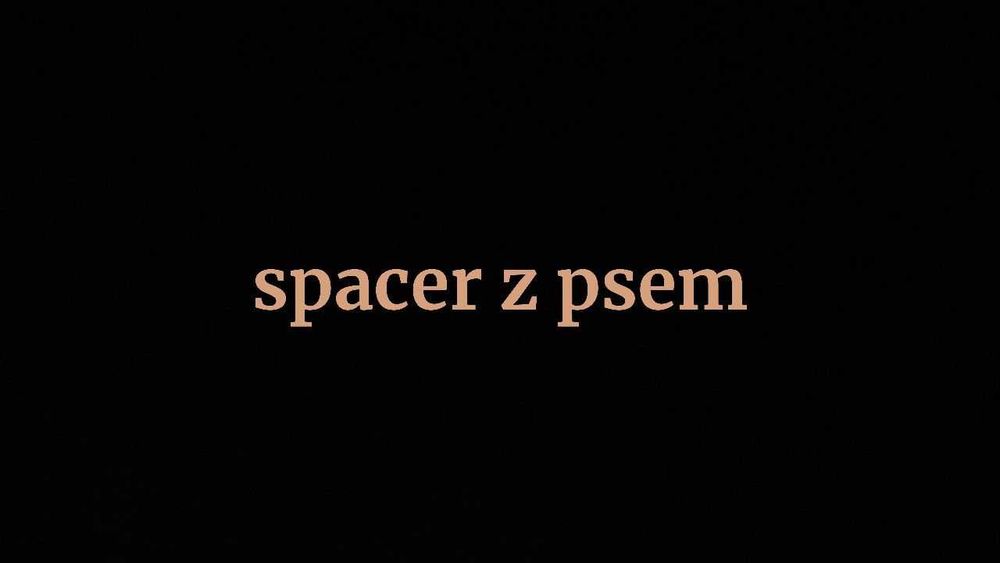 wyprowadzanie psa/spacer z psem