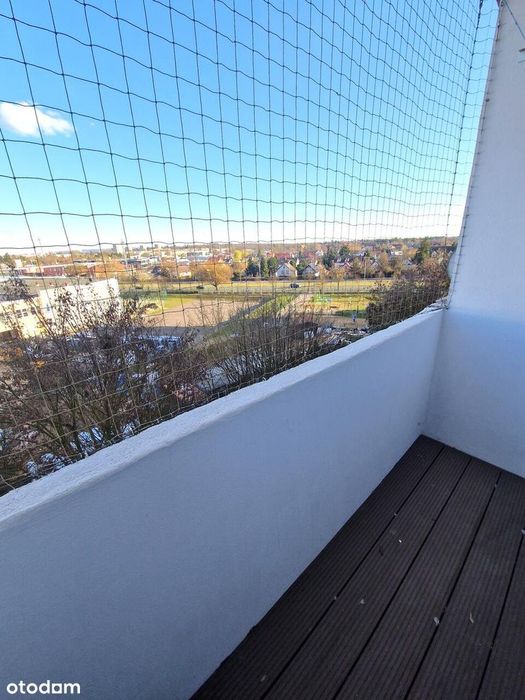 3 niezależne pokoje po generalnym remoncie; balkon; winda