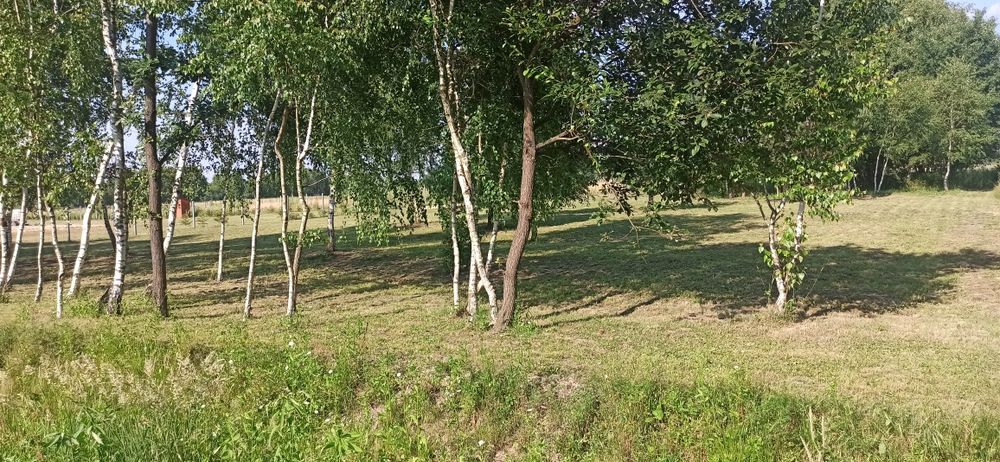 Działka z wydanymi WZ Rakszawa