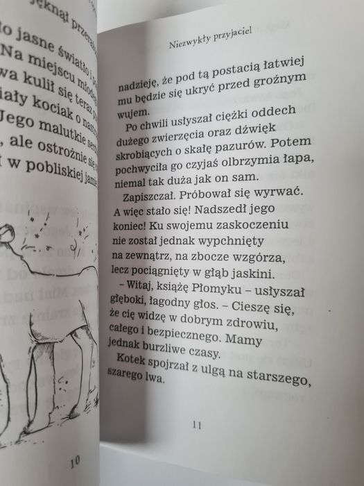 Magiczny kotek - Sue Bentley. Książeczka