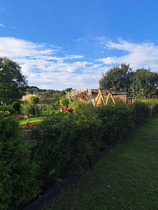 sprzedam działkę ROD