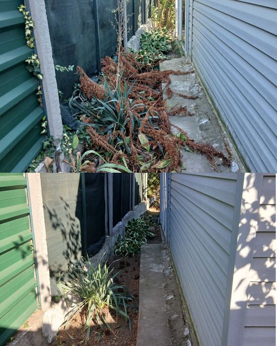 Генеральне прибирання ділянки