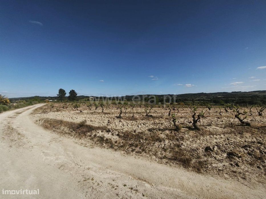 Terreno Rústico / Belmonte, Caria — Caria, Castelo Branco