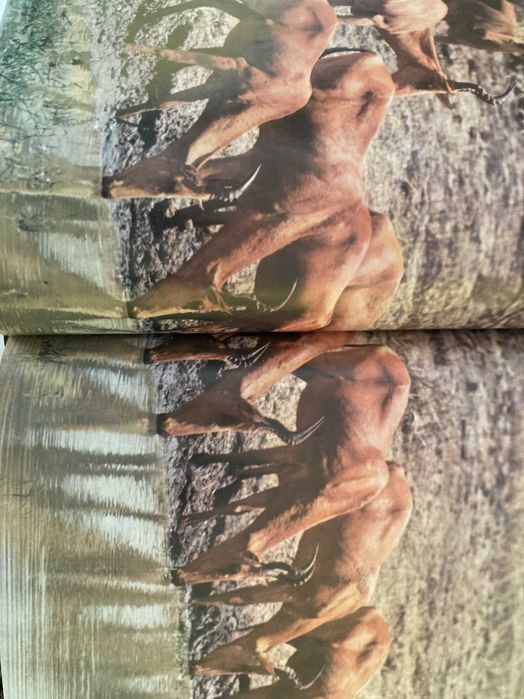 Enciclopédia A Fauna da Salvat - 11 Volumes