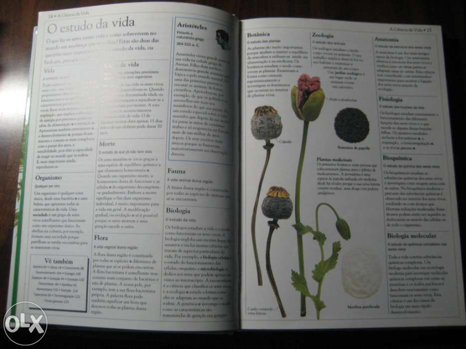 Dicionario Escolar DA Natureza