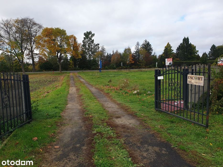 Działka w świetnej lokalizacji - Widok 5