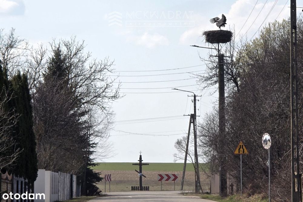 Okazja Podlasie siedlisko 2200 m2 drewniany dom,
