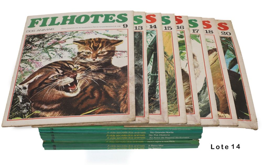 100 Livros de Leitura