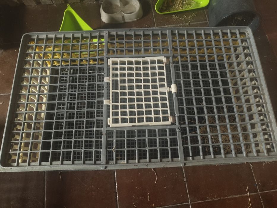 Gaiolas para animais