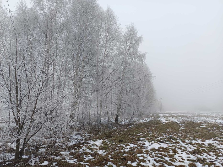 Naczelnik Urzędu Skarbowego w Sosnowcu-nieruchomość-grunt-łąki trwałe