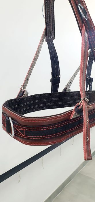 Шлея шорка Шора Европейского образца англичанка немка