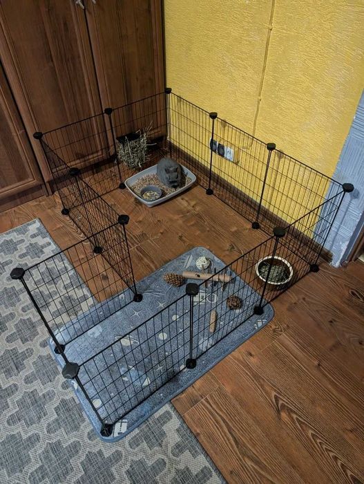 Wybieg Kojec Klatka dla Świnki Morskiej Królika Gryzoni Gryzonia NOWY