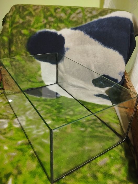 Продається акваріум для черепахи та риб