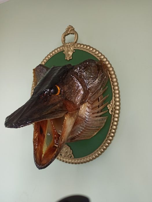 Рибацький декор (щука)