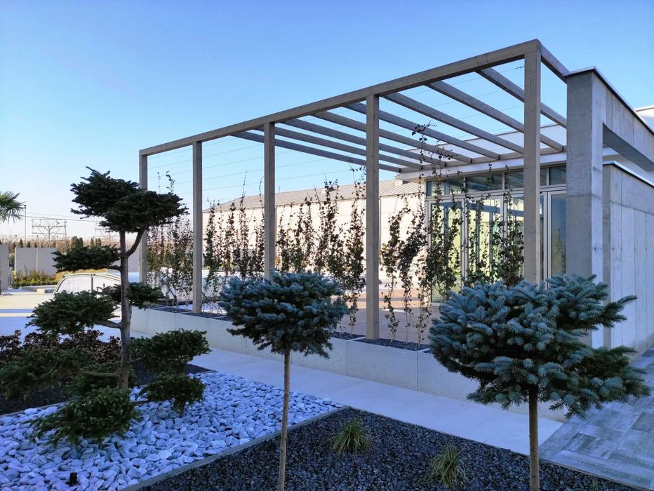 Pergola, taras, altana, wiata, drewno BSH, poliwęglan, zadaszenie