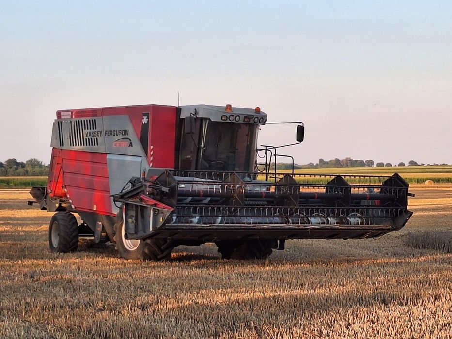 Kombajn Massey Ferguson Cerea 7274 2008rok.