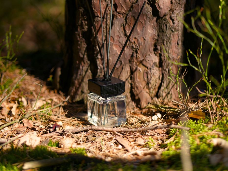 Naturalny dyfuzor zapachowy