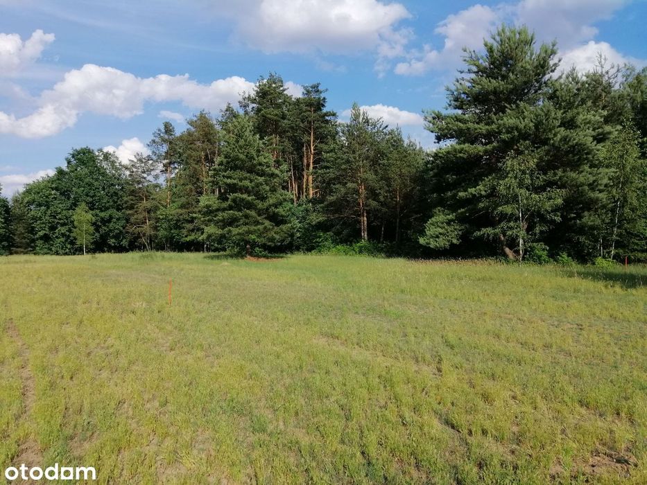 Przepiękna działka budowlana 1901m² Osowiec - Widok 6