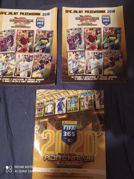 Oficjalne przewodniki 2018 i 2020