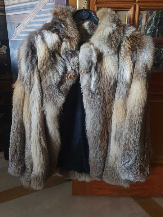 Casaco de pele de raposa