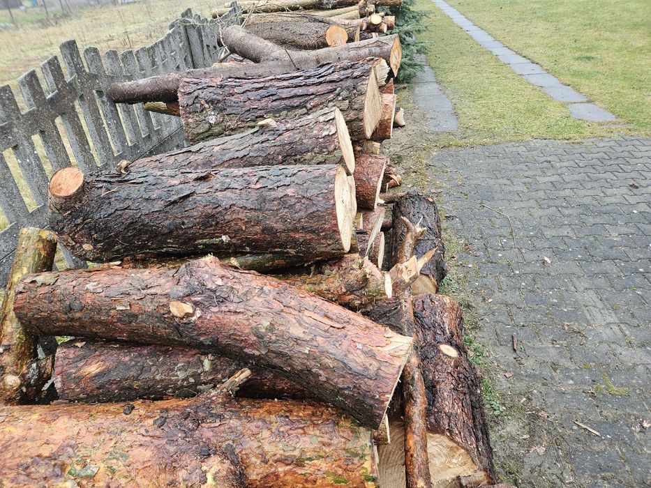 Drewno opałowe sosnowe