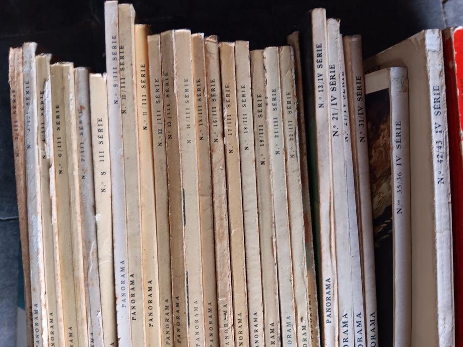 Revista panorama - lote