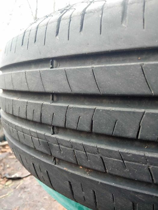 резина  Pirelli  на 14 в хорошем состоянии летняя и зимняя