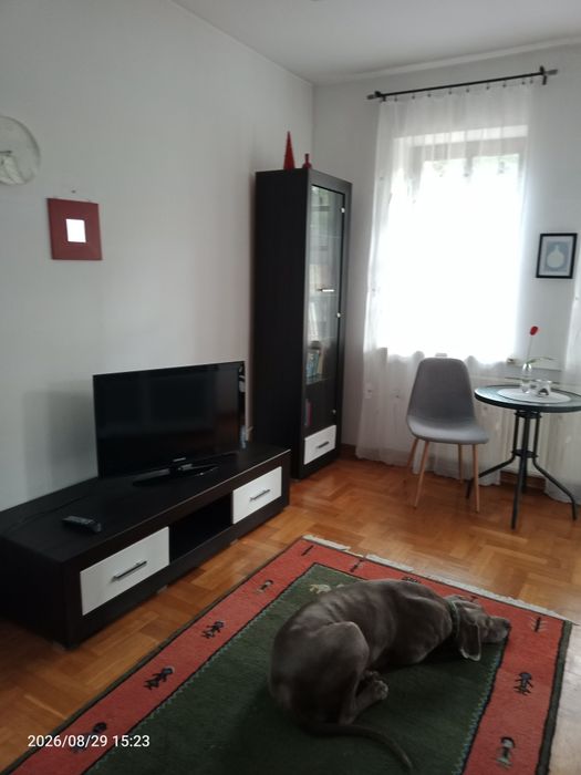 Zdjęcie 2