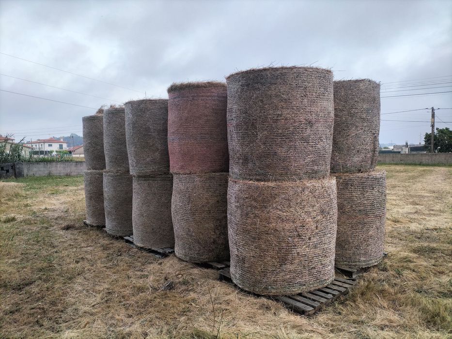 Rolos de palha para animais