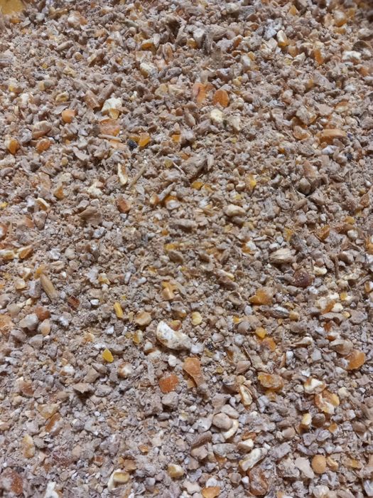 Pasza dla drobiu PREMIUM (Ostroda)