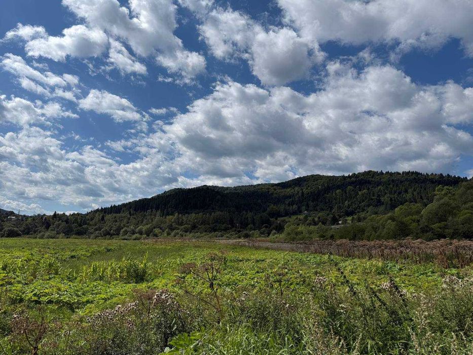 Продаж ділянки в Новому Кропивнику (поруч Східниця, річка Стрий, ліс)