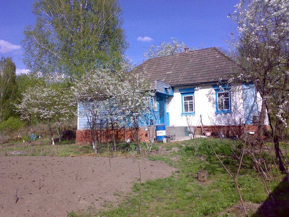 будинок та земельна ділянка в селі Ольшані