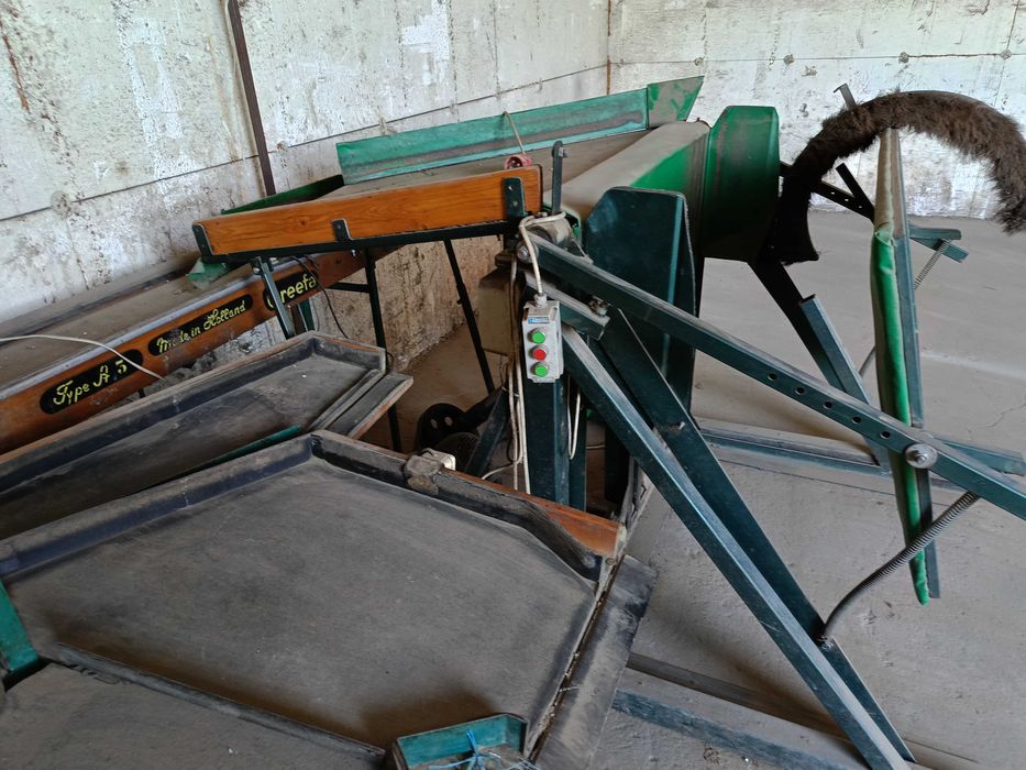 Sortownica owoców greefa 3