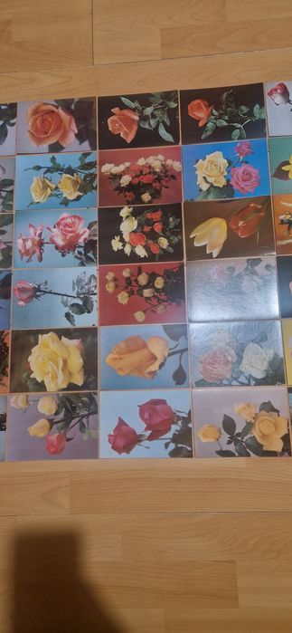 Kolekcja 56 Starych Pocztówek Prl z Kwiatami