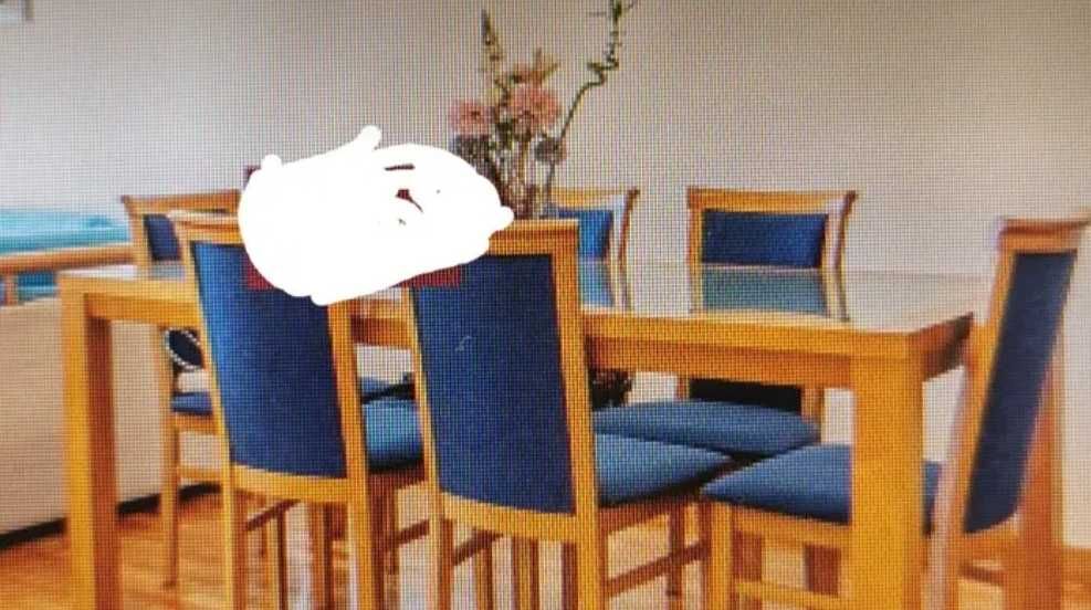 mesa da sala com 6 cadeiras estofadas