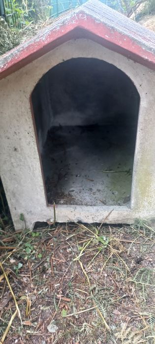 Casota para cão de porte grande