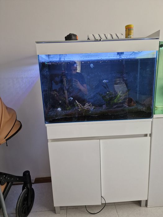 Aquario com móvel