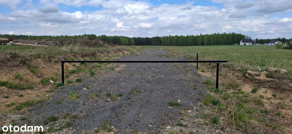 Zdjęcie 6