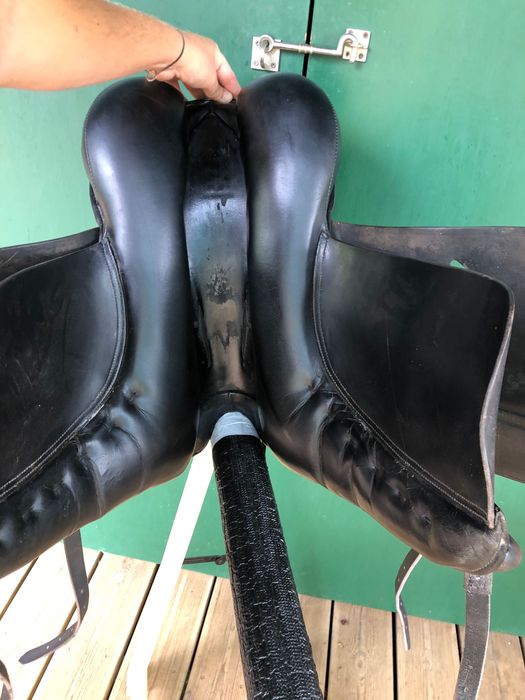 Sela Otto Schumacher Dressage 17”