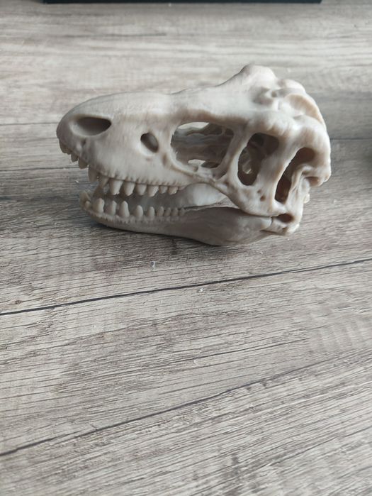ozdoby czaszka do terrarium akwarium
