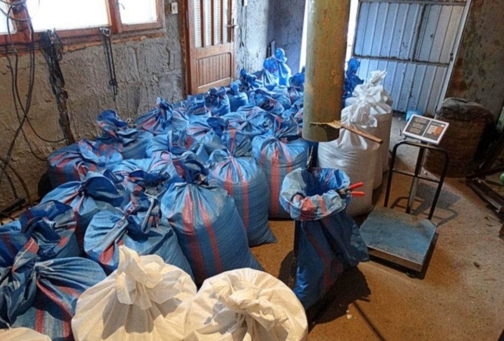 Zboże workowane pszenżyto