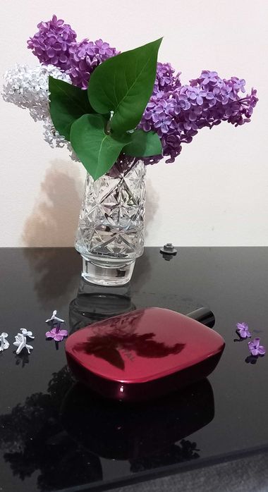 nisza Comme des Garcons Floriental edp 100 ml