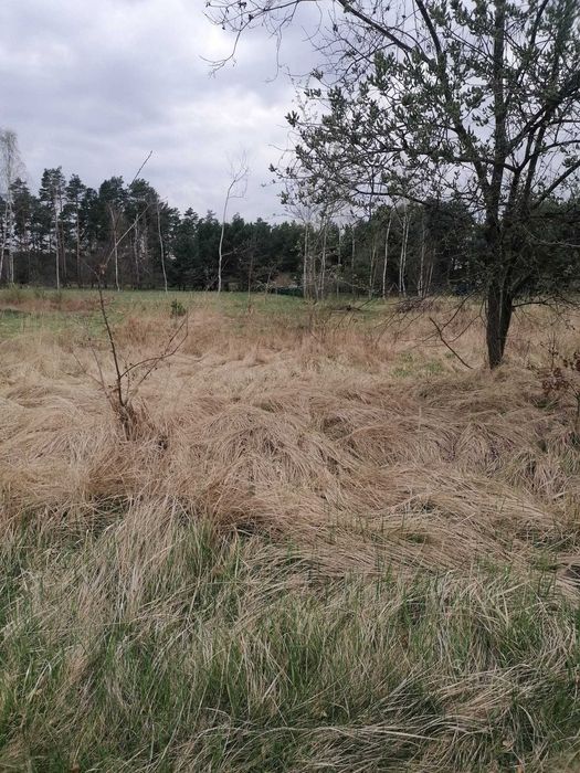 Działka budowlana m. Siodło 2959m2