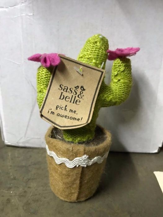 Placa + Moldura com luzes + Cacto desde...