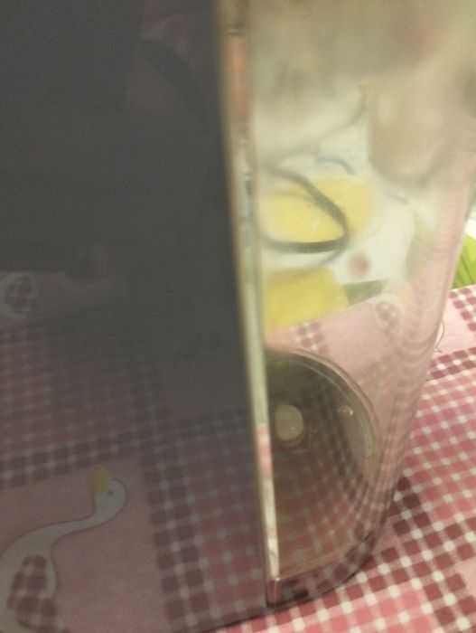 Máquina de café pastilhas continente botão não segura